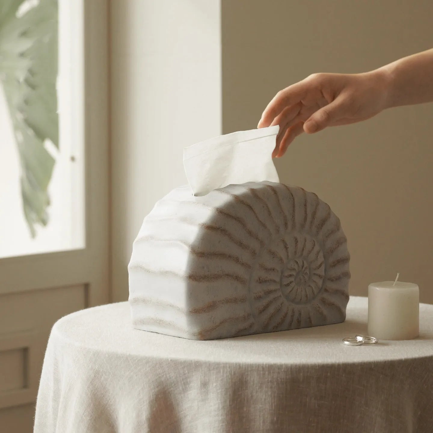 Creative Conch Ramble coloured resin decorative tissue box with modern simplicity design.