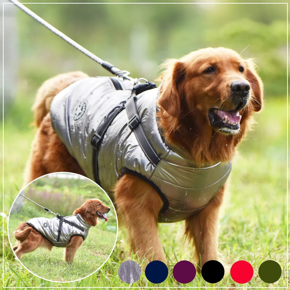 Waterproof dog winter coat with harness opening in rain silk fabric