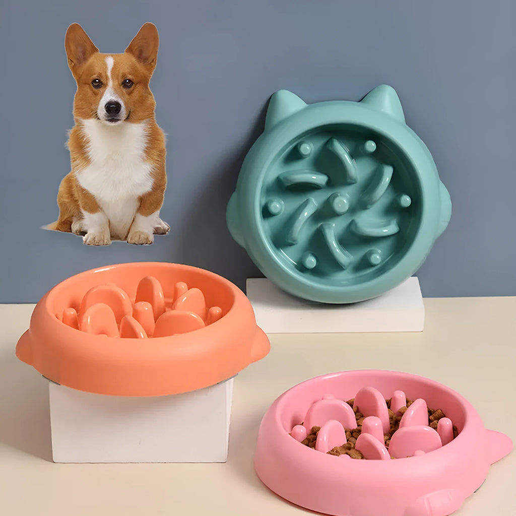 Green plastic slow feeder dog bowl with raised bone-shaped ridges inside.