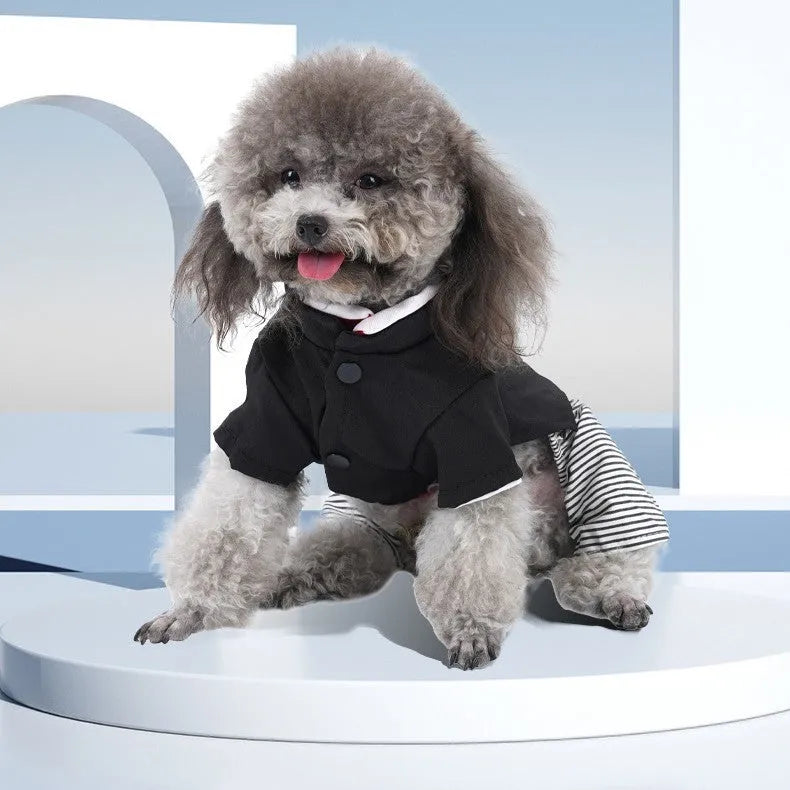 Cotton poodle dog clothes shown in skirt and four-legged pants styles for small breeds.