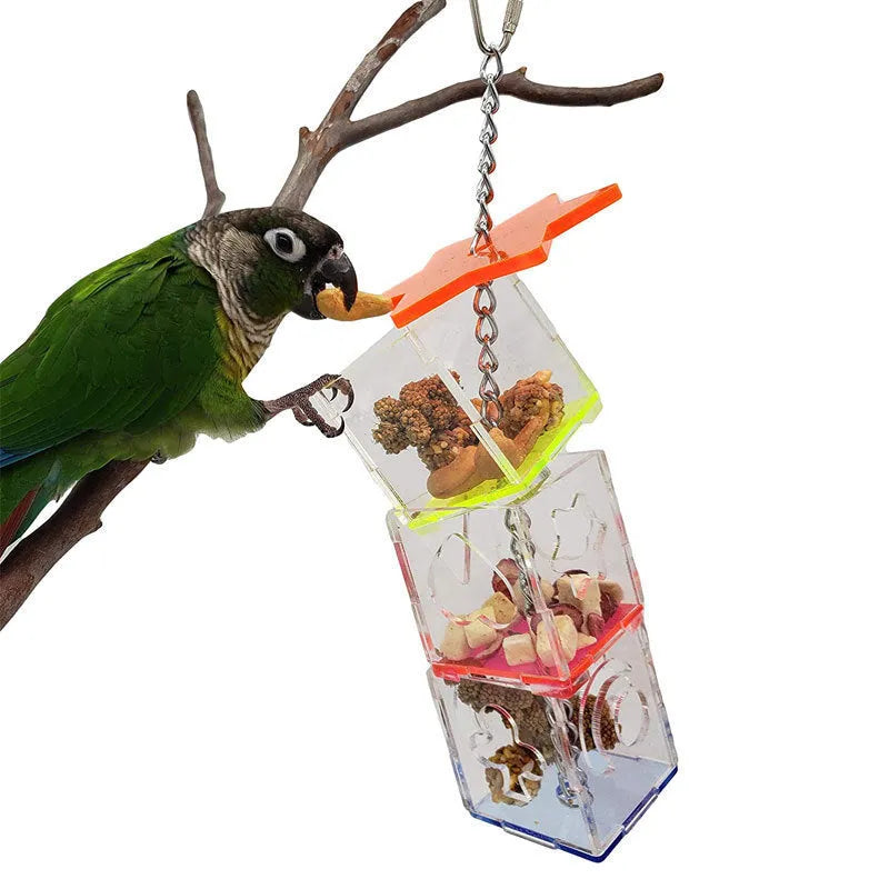 Clear acrylic parrot foraging toy with 5x5x32cm dimensions for bird enrichment