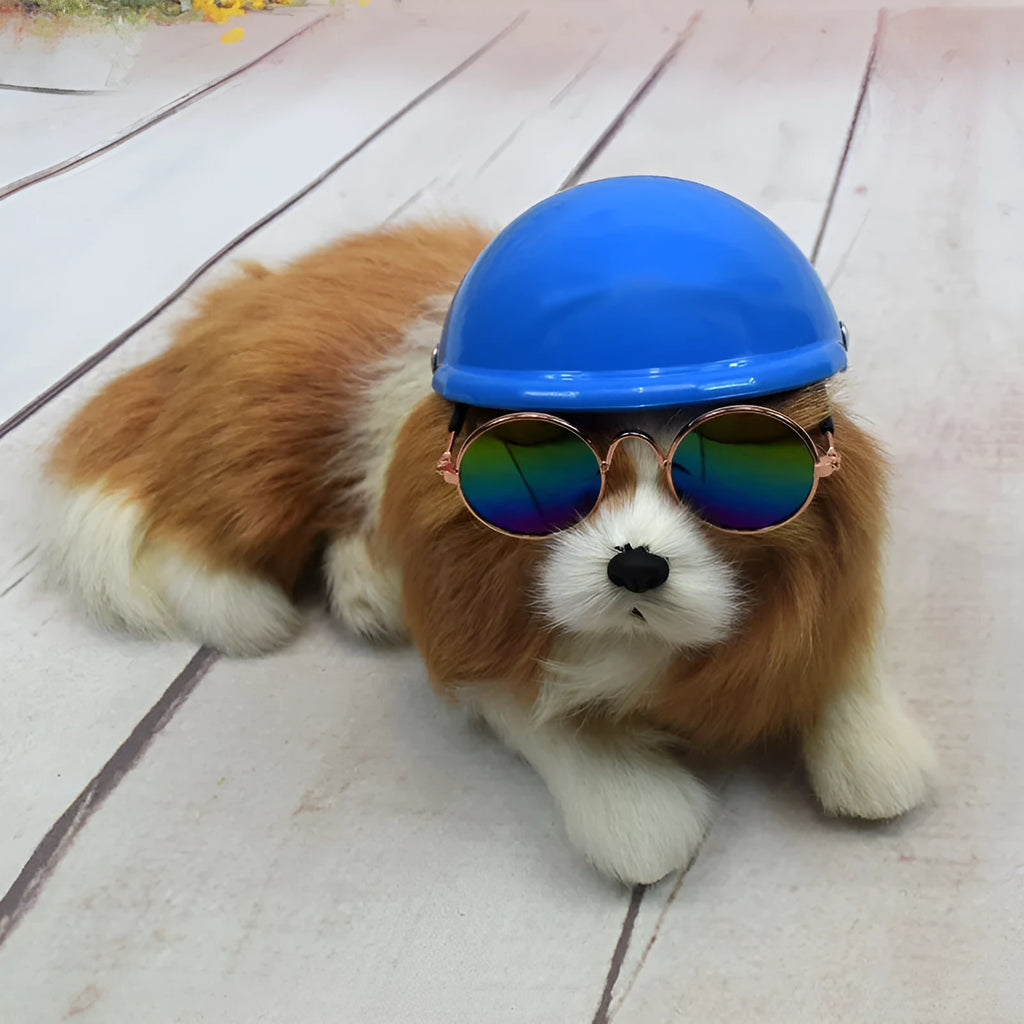 Small dog wearing a solid colour plastic motorcycle cap helmet on its head