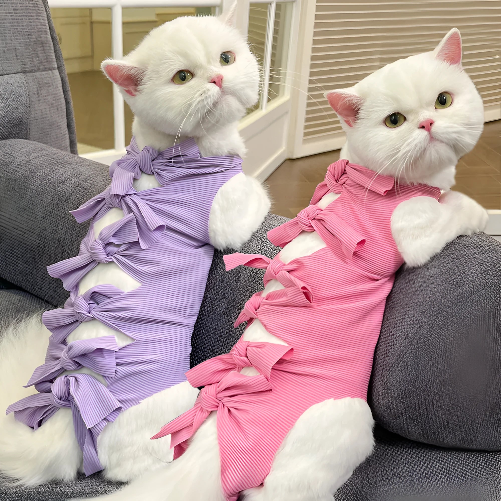 Lace-up polyester recovery clothing for cats after sterilisation, shown in multiple colours and sizes.