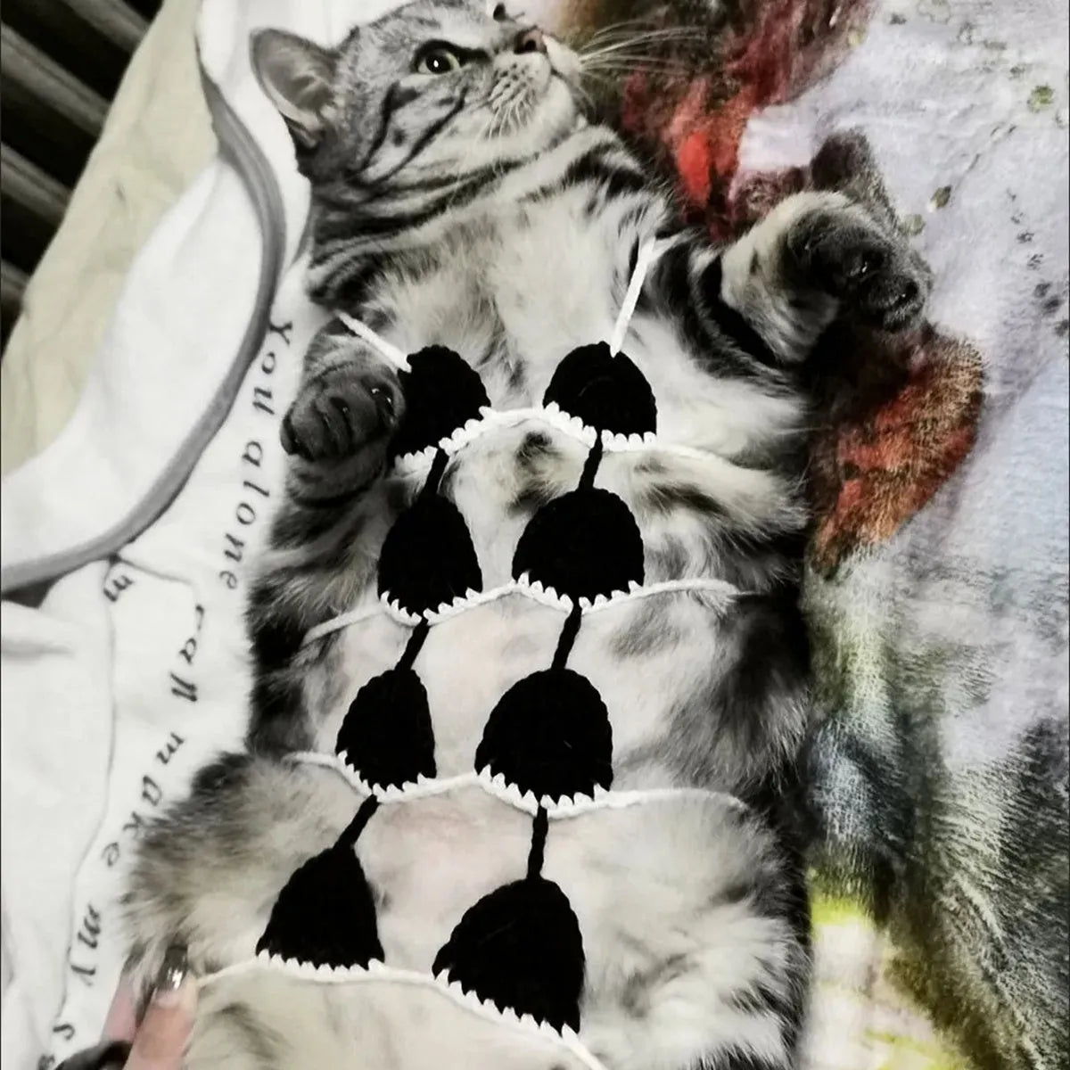 Cat wearing sweet style bikini costume in multiple colour options for festival events