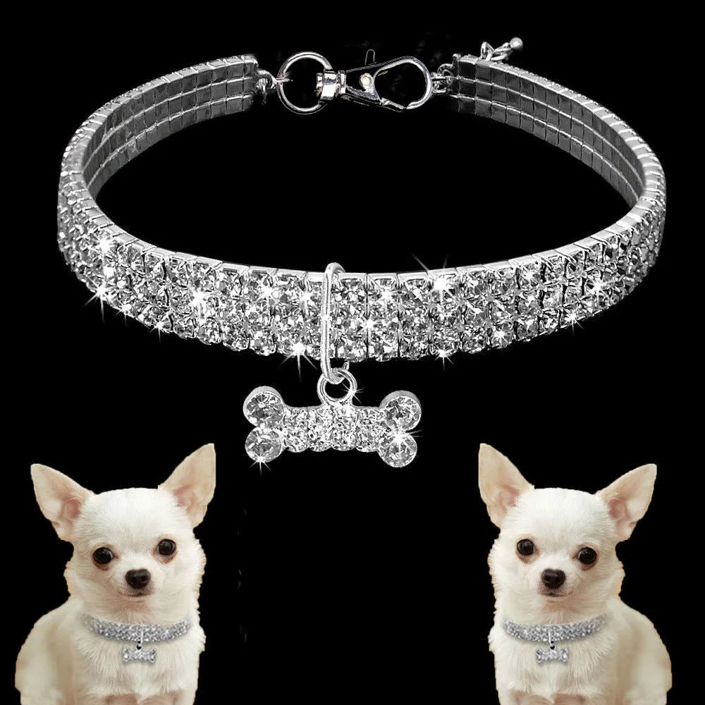 Bling rhinestone dog collar with crystal pendant on a small dog, blue colour, adjustable size S