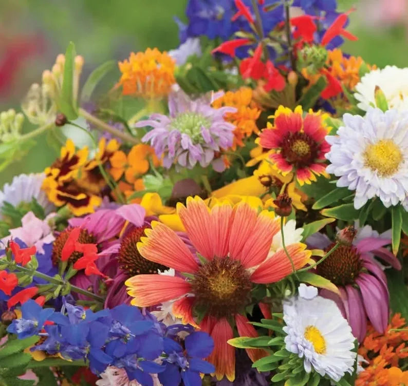 Mixed wildflower and grass seed packets in 1000, 5000, and 10000 seed quantities for garden planting