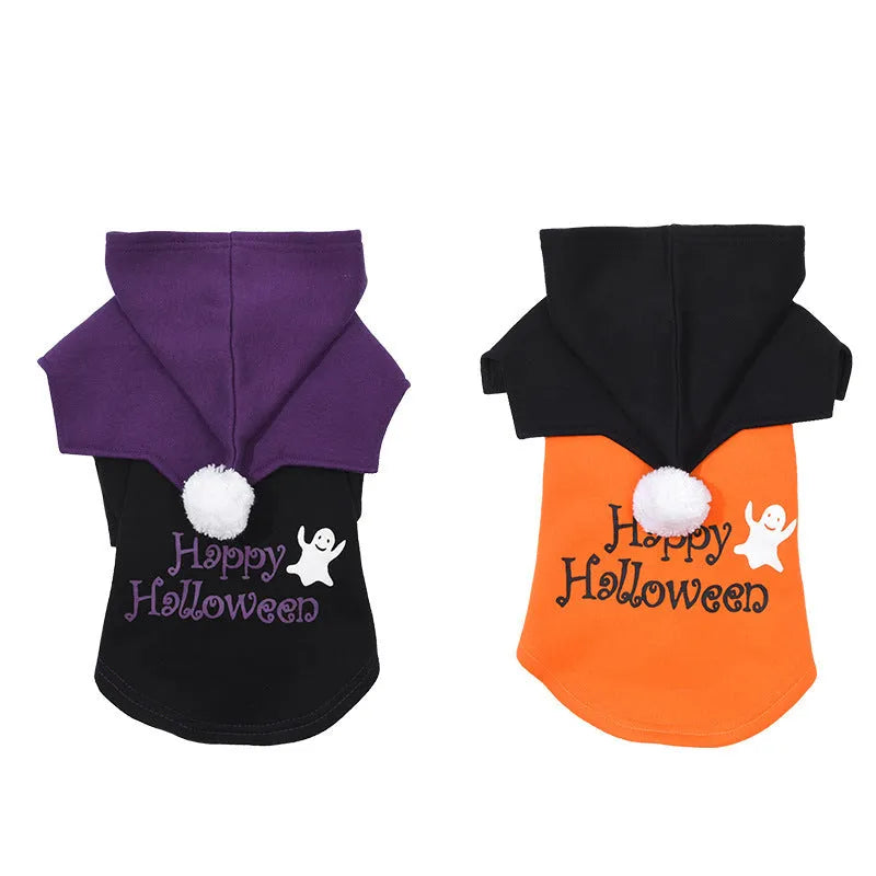 Black and orange Halloween dog costume with striped sweater and pumpkin face shawl