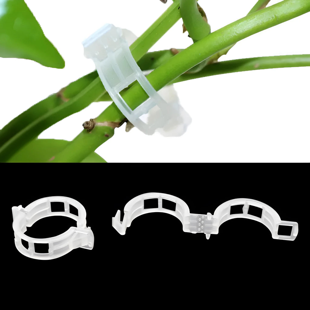 Pack of 50 plastic plant grafting clips for supporting tomato flowers and garden vines.