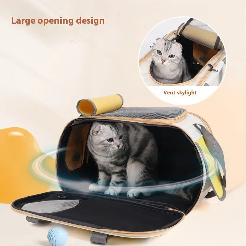 Foldable single shoulder pet backpack in black canvas with large capacity for cats and small dogs