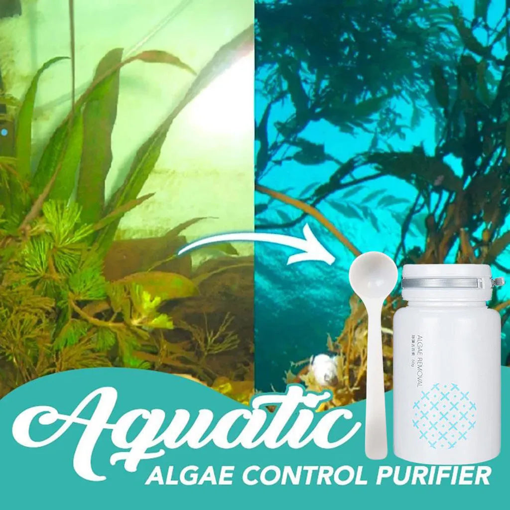50g swimming pool algaecide treatment for algae and moss removal in aquatic environments