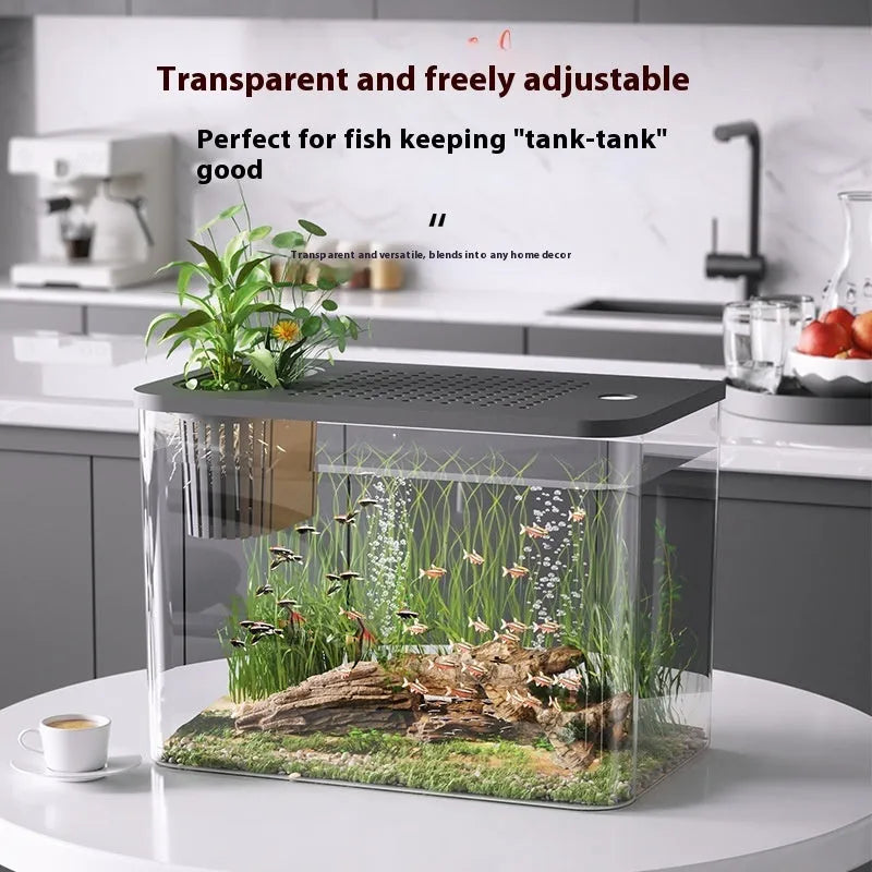 Clear plastic mini betta fish tank with a fitted cover, shown in black and white colour options.