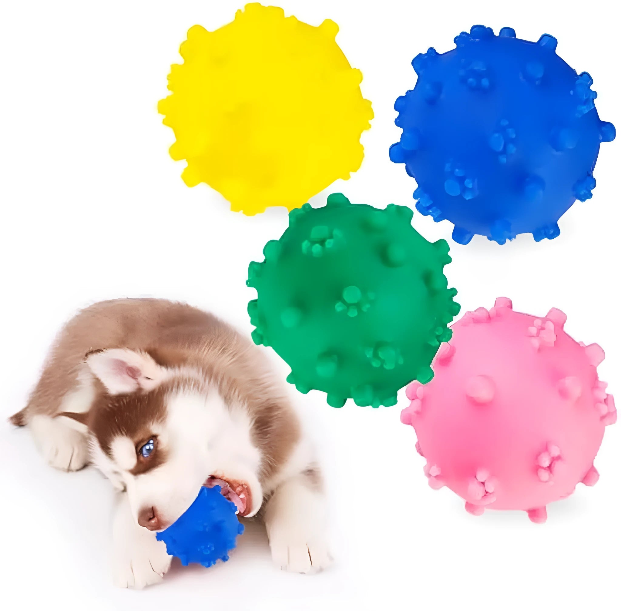 Bright coloured spiked dog ball toy with squeaker for small dogs on grass
