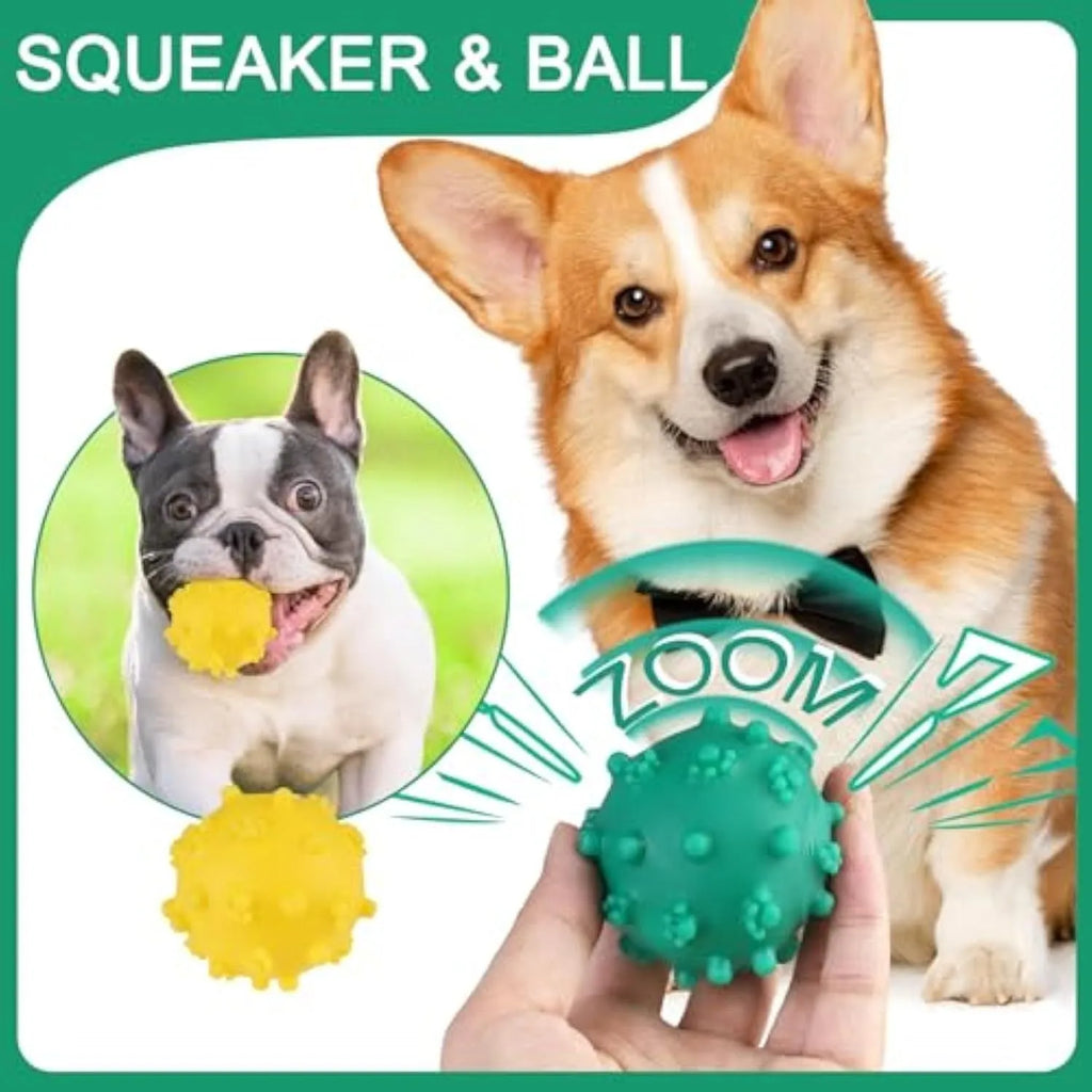 Bright coloured spiked dog ball toy with squeaker for small dogs on grass