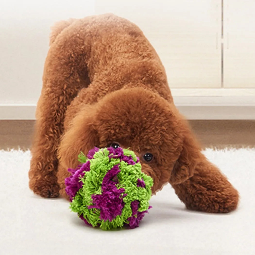 Purple seaweed-scented plush dog chew ball with knot design for teething and interactive play