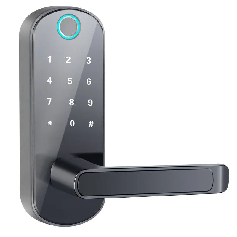 Smart Bluetooth fingerprint lock in black or silver for wooden and office doors.