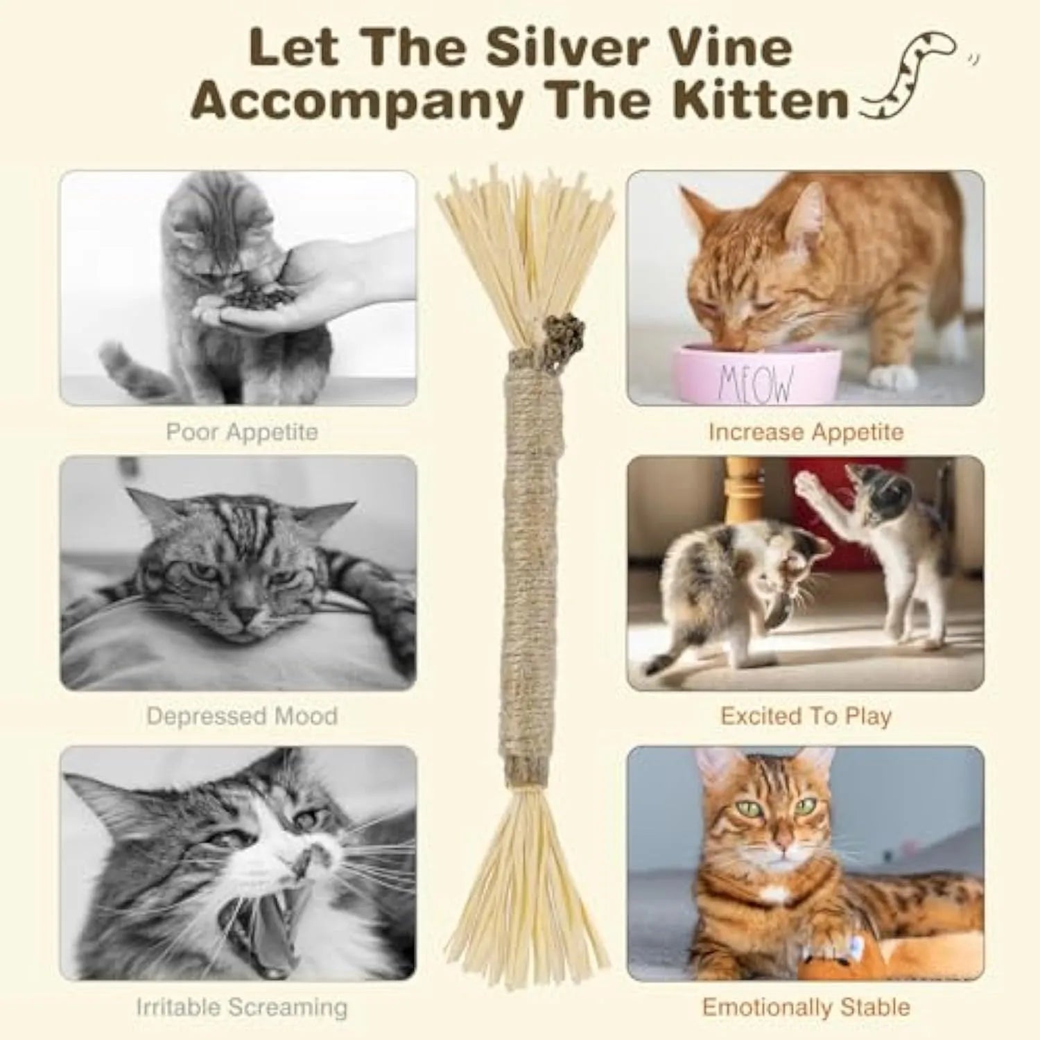 A pack of three natural silvervine chew sticks for cats with sisal rope, for dental care and enrichment.