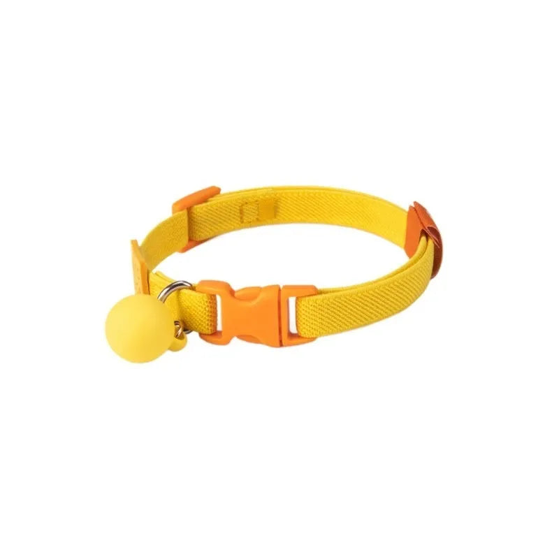 Small dog's elastic polyester collar in a solid colour with a buckle, showing the adjustable length.