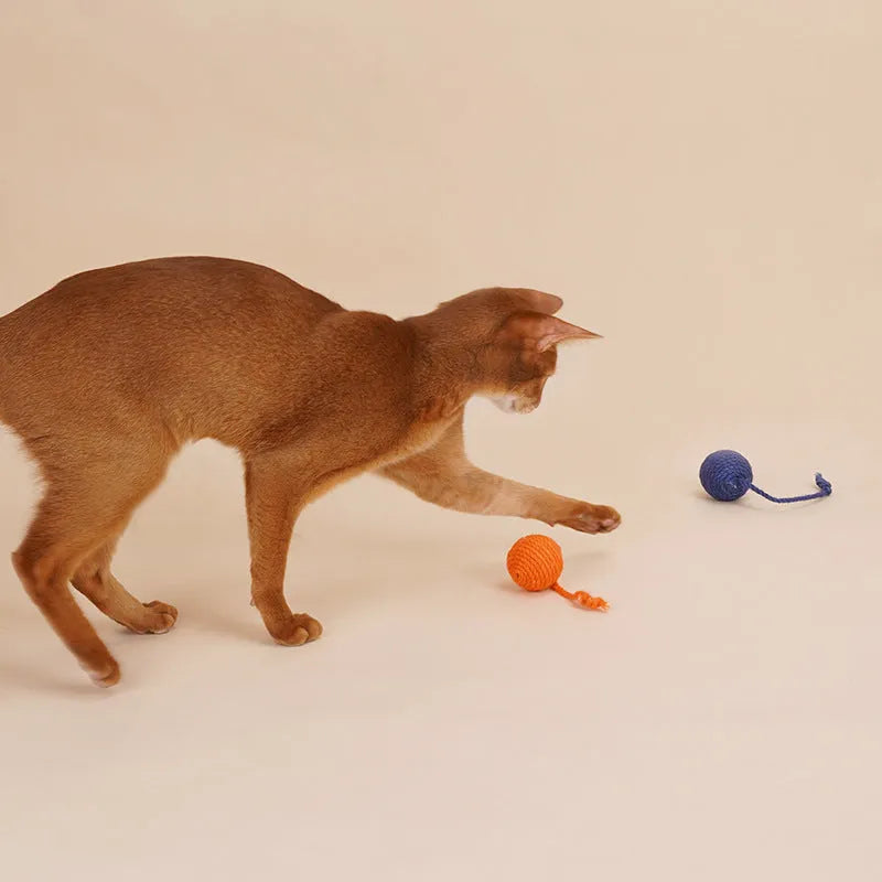 Multi-colour cat teaser wand set with bite-resistant catnip balls and feather attachments