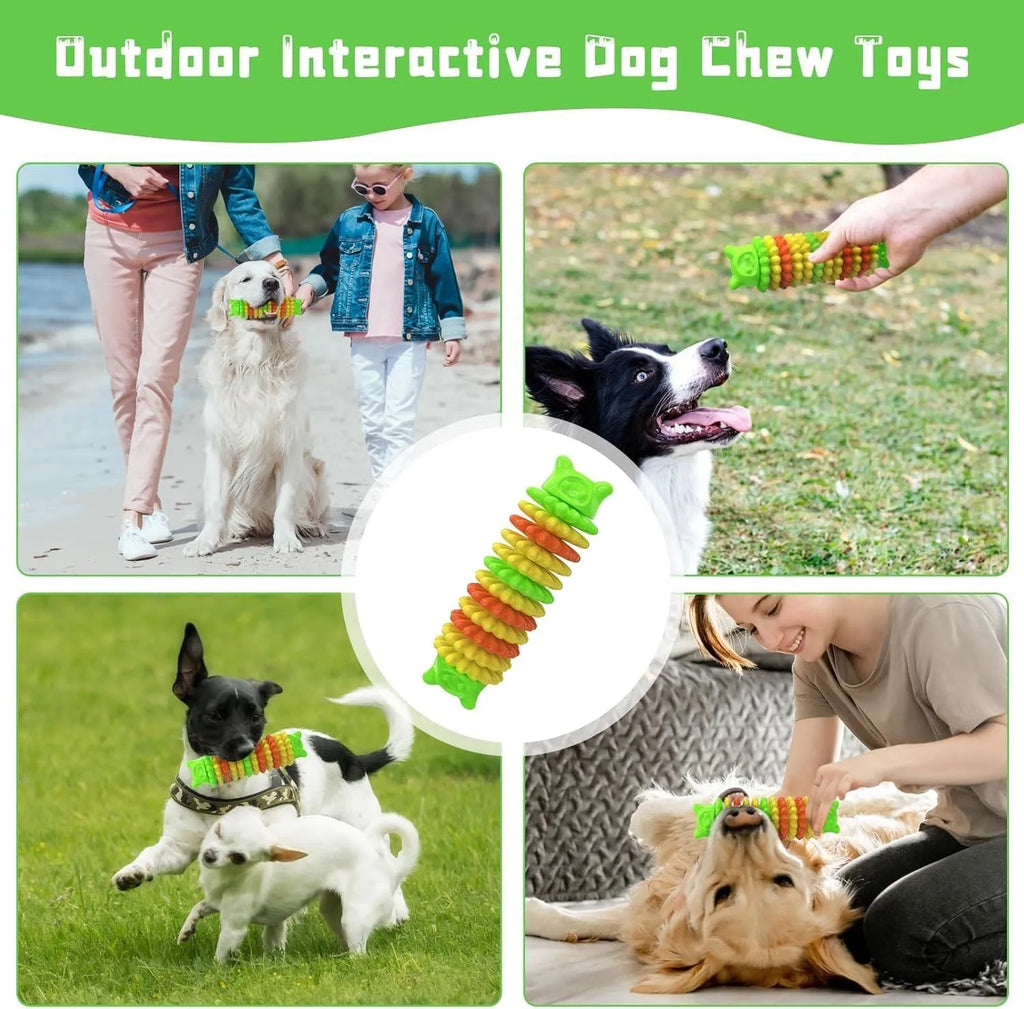 Blue green and pink caterpillar-shaped durable rubber dog chew toy for aggressive chewers.