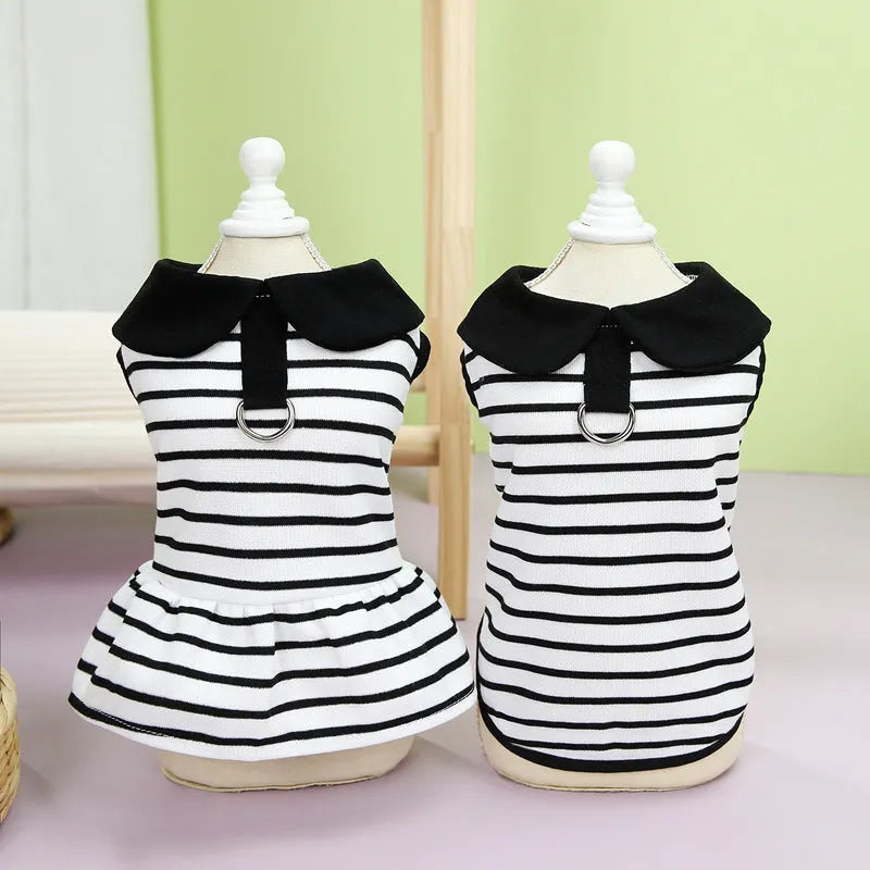 Pet summer stripes cotton T-shirt and skirt clothing set with coordinated pattern
