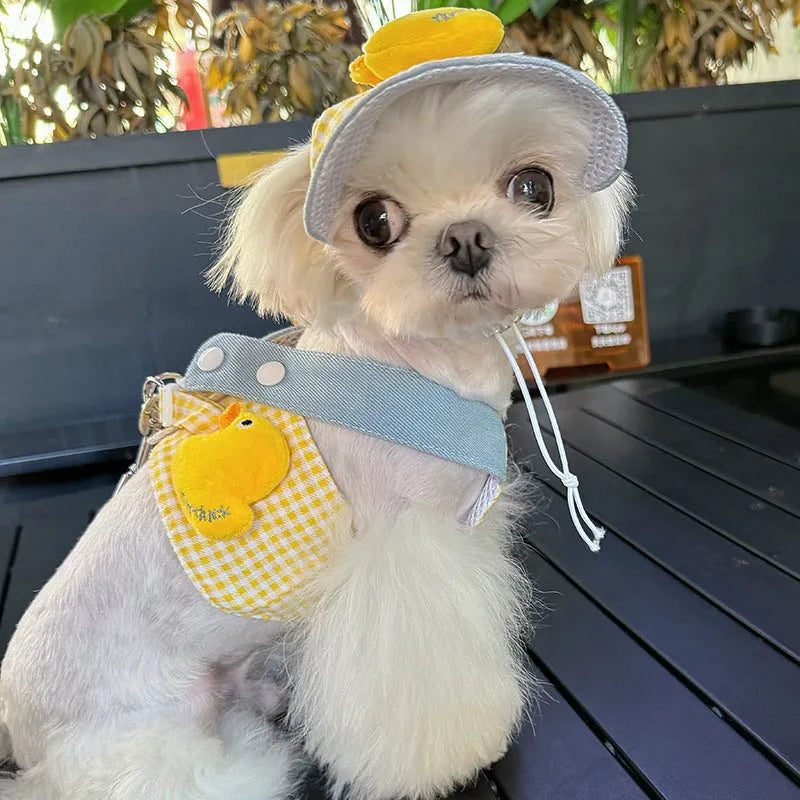 Pet dog harness and leash set with a cute animal hat and a blue tug rope on a green background.