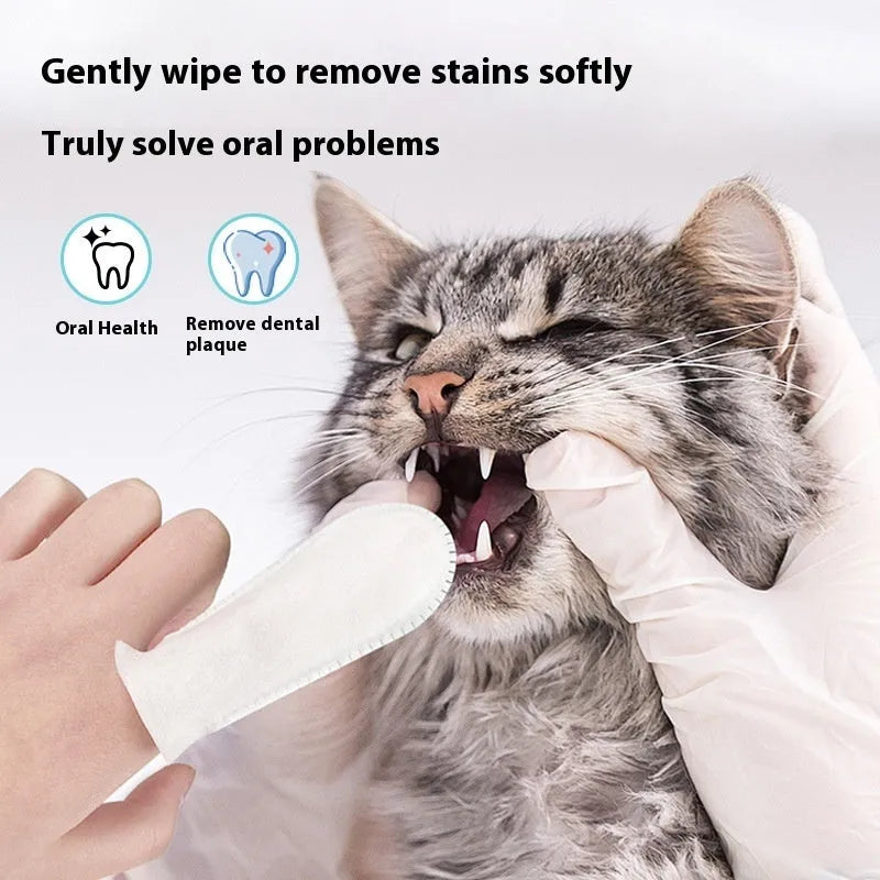 50-piece pack of non-woven pet dental cleaning finger stalls for cat and dog oral hygiene