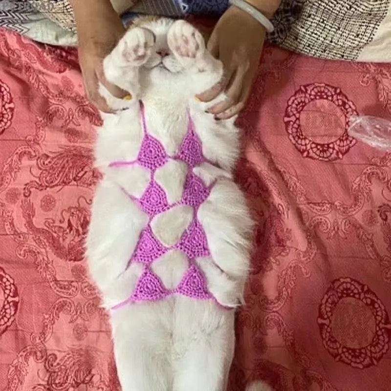 Cat wearing sweet style bikini costume in multiple colour options for festival events
