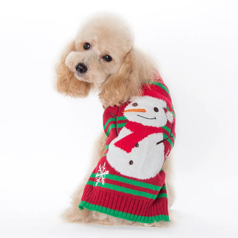 Small dog wearing a grey acrylic Christmas sweater with a red pompom detail