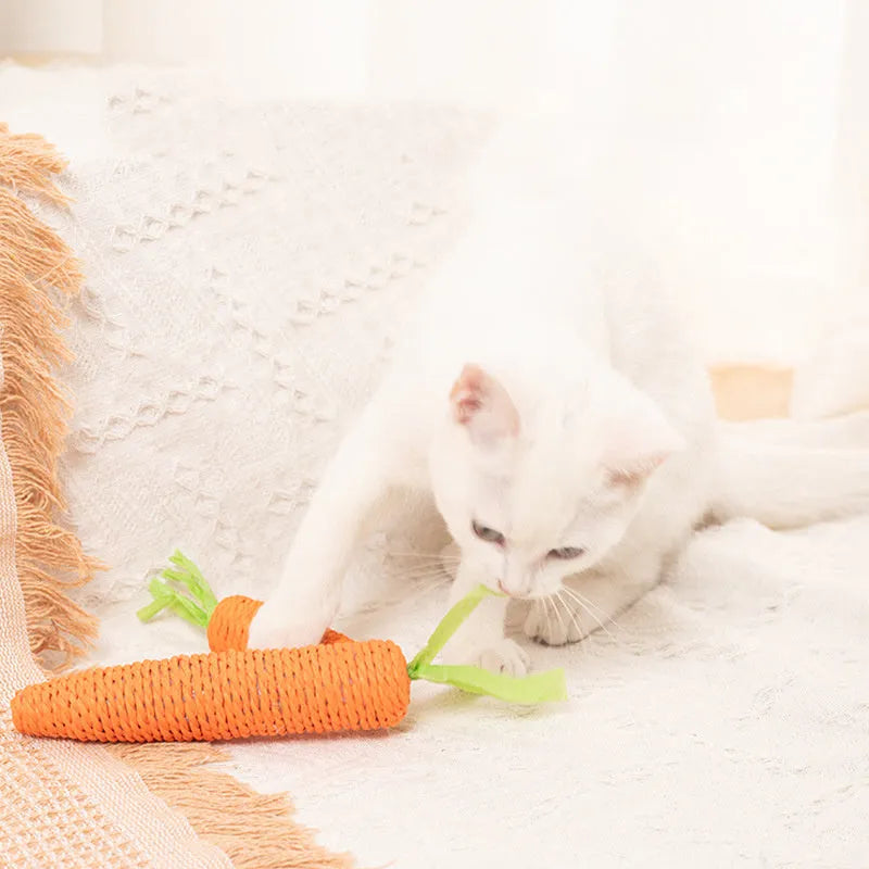 Assortment of interactive cat toys including carrot bites, paper toys, ringing stones, and dental sticks in two sizes
