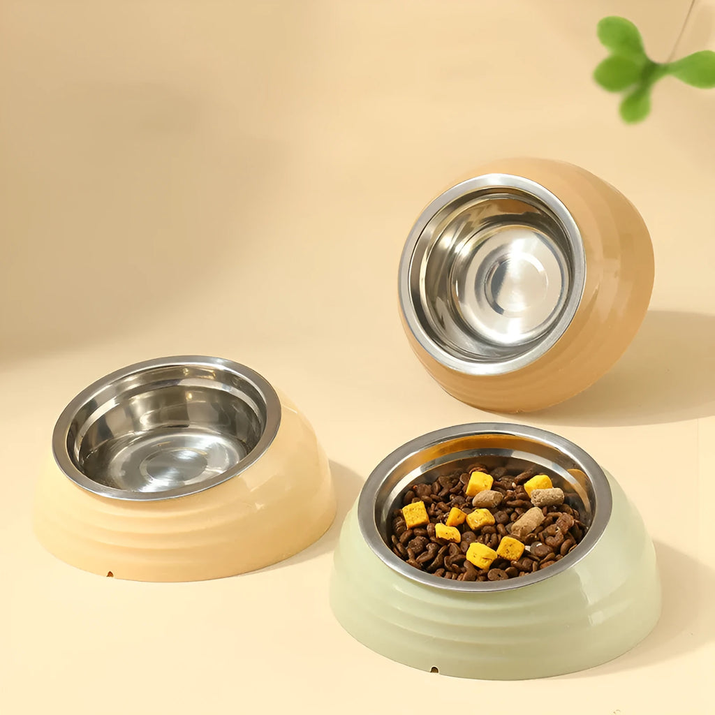 Stainless steel cat bowl with plastic base in choice of colours