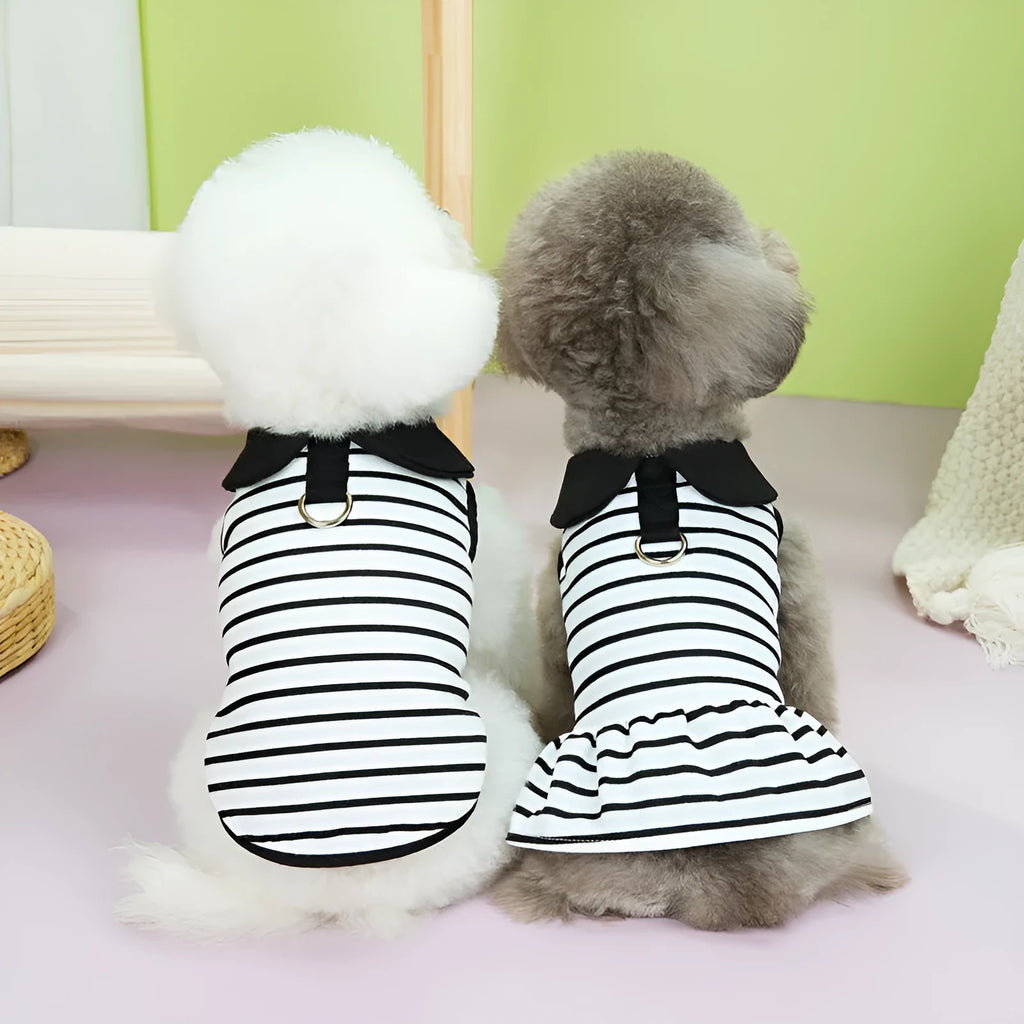 Pet summer stripes cotton T-shirt and skirt clothing set with coordinated pattern