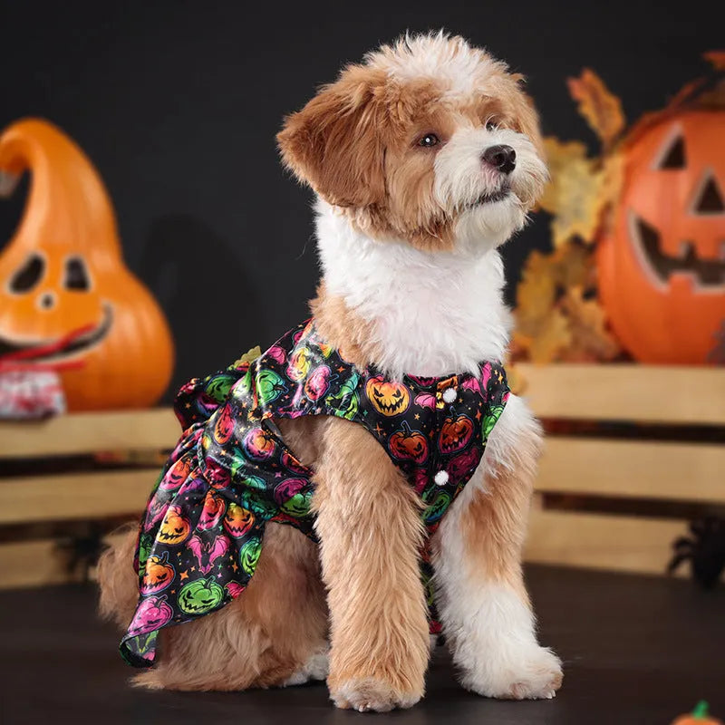 Angel wings Halloween dog costume in bright pumpkin orange and bat pattern colours