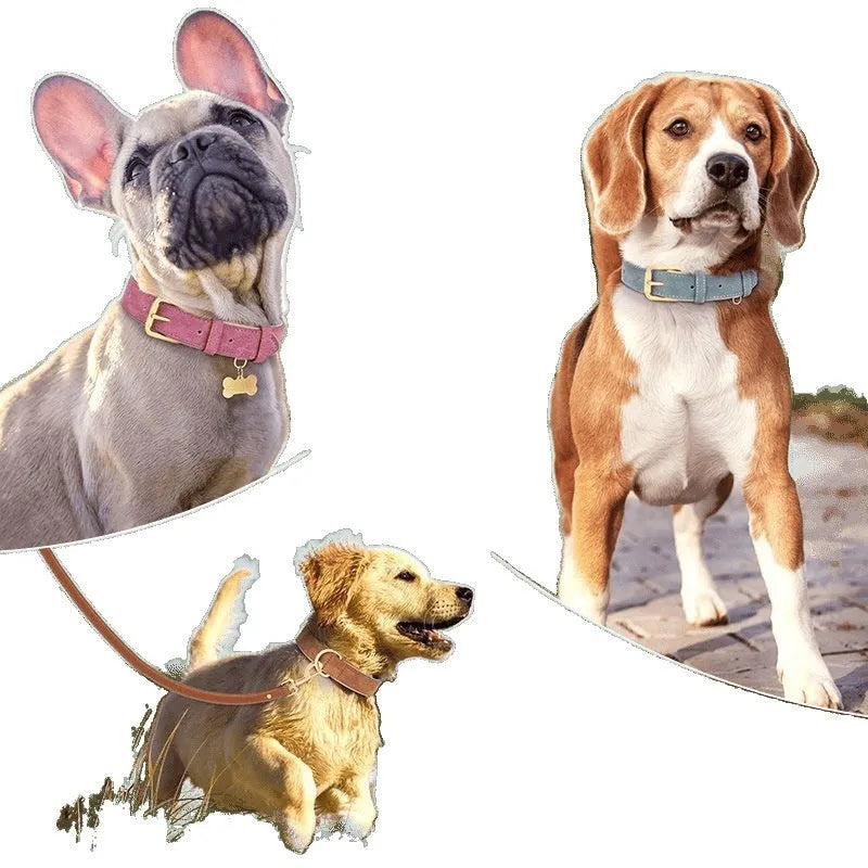 Double-layer leather dog collar and matching lead in rose red, brown, or blue