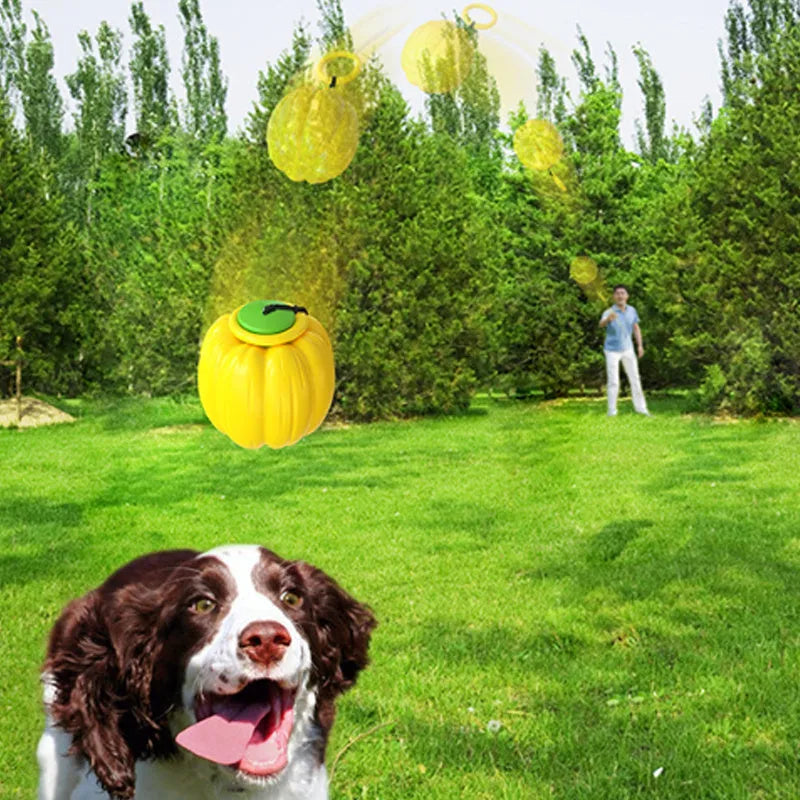 Orange pumpkin-shaped dog chew ball with squeaker for small dogs, measuring 69mm diameter