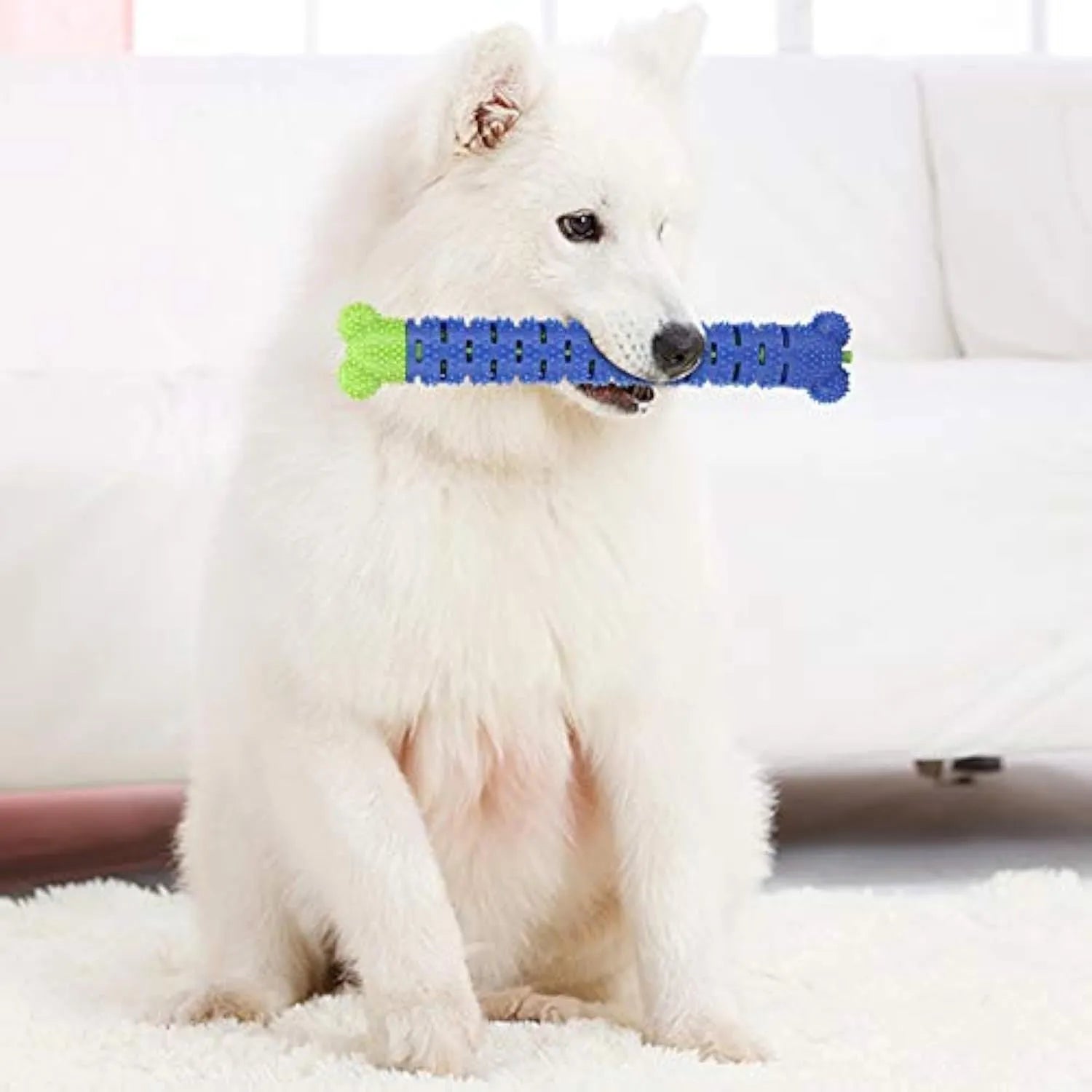Blue silicone dog dental chew toy with serrated brush head and crevice for toothpaste insertion