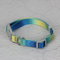 Nylon dog leash set with gradient colours in collar, bracelet and chest strap styles
