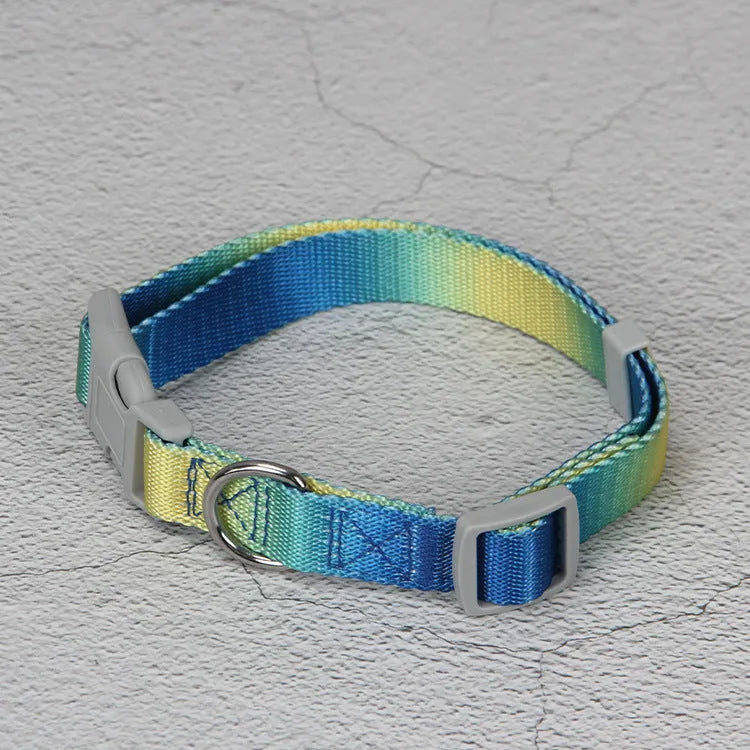 Nylon dog leash set with gradient colours in collar, bracelet and chest strap styles