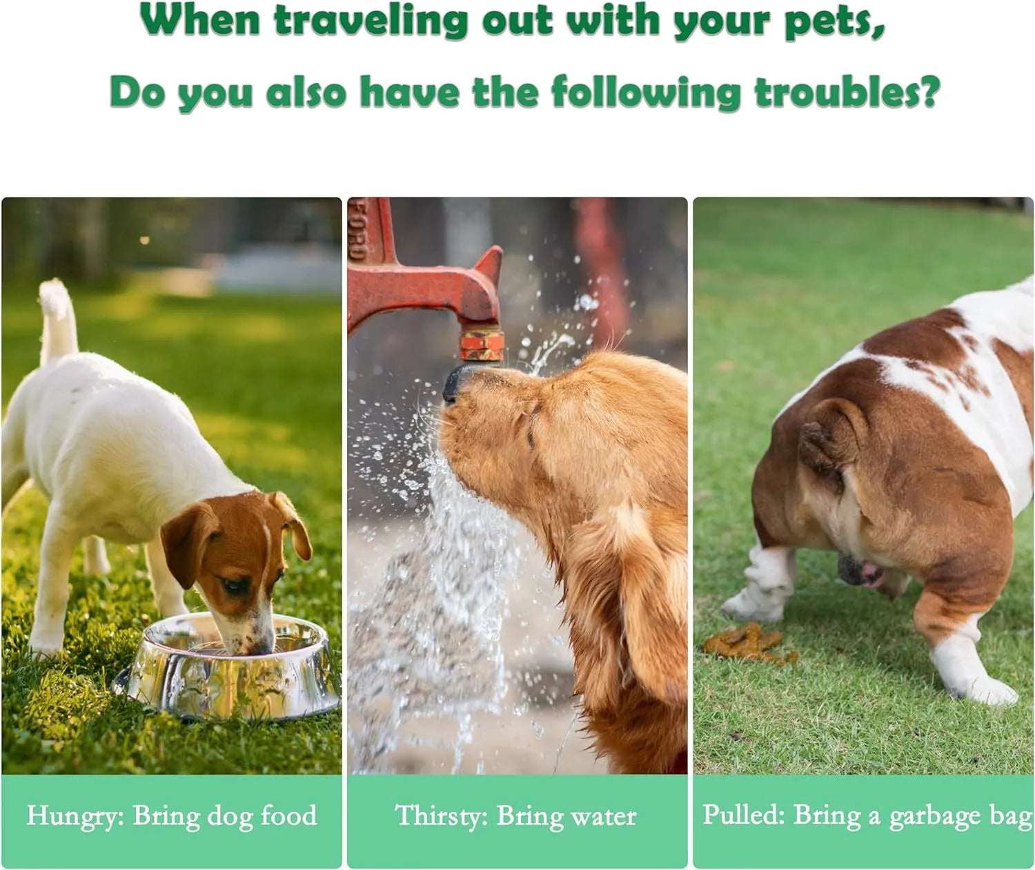 Green 3-in-1 portable pet water bottle with food container and waste bag dispenser
