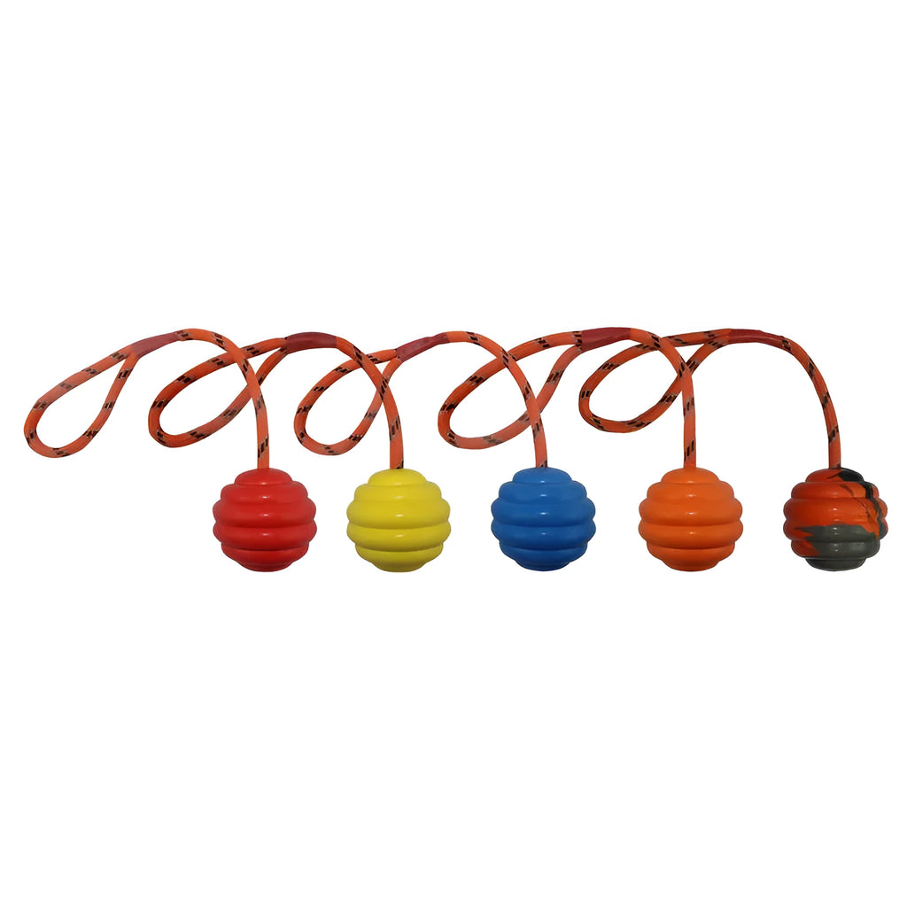 Multi-colour rubber dog toy ball with rope knot attachment for interactive training