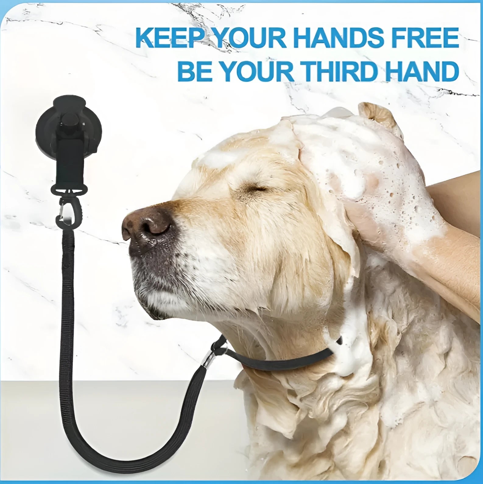 Pet bathing fixed artifact with suction cup handcuffs and traction rope in black colour, showing large and small suction cup sizes