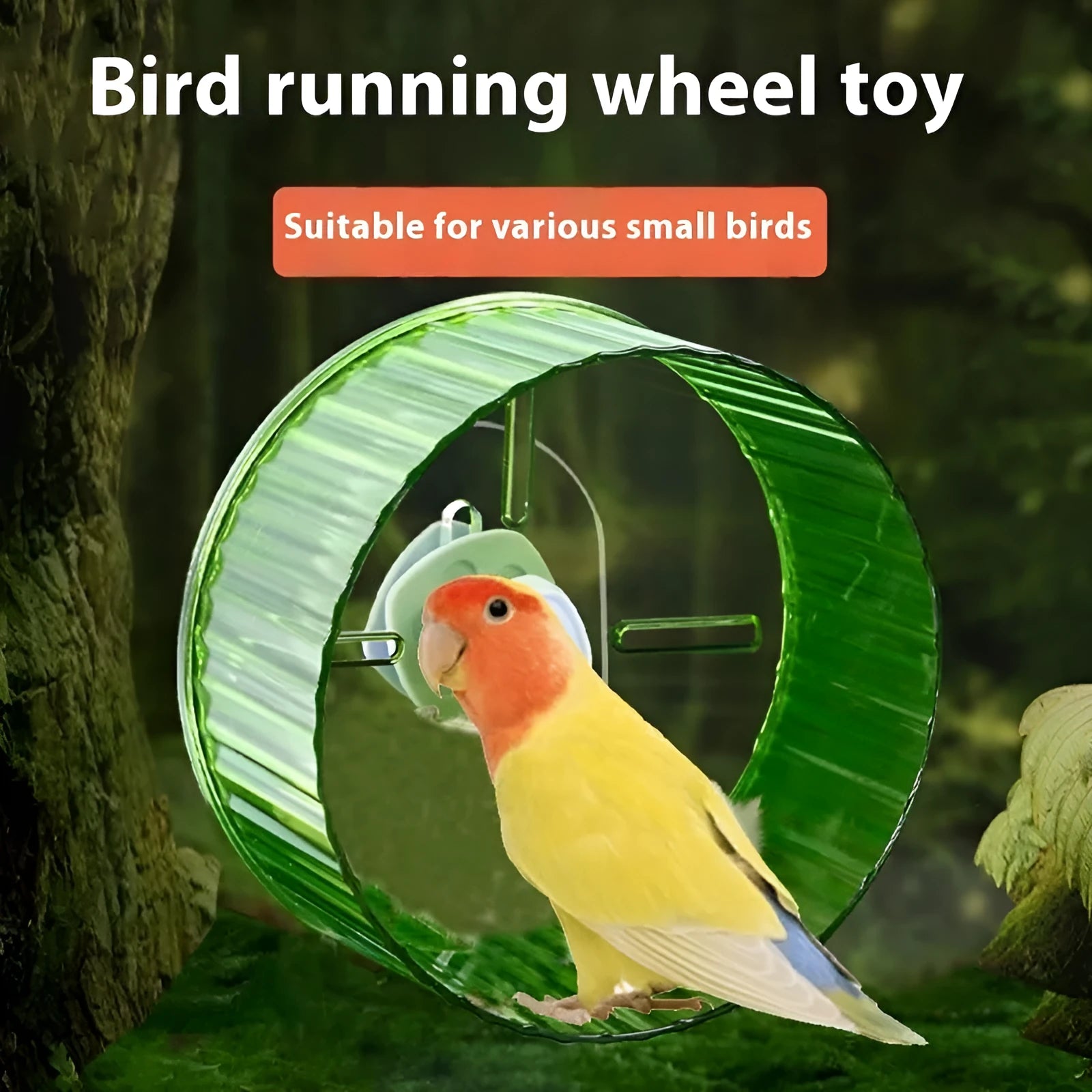 A plastic bird running wheel toy for parrot cage exercise, shown in a transparent colour.