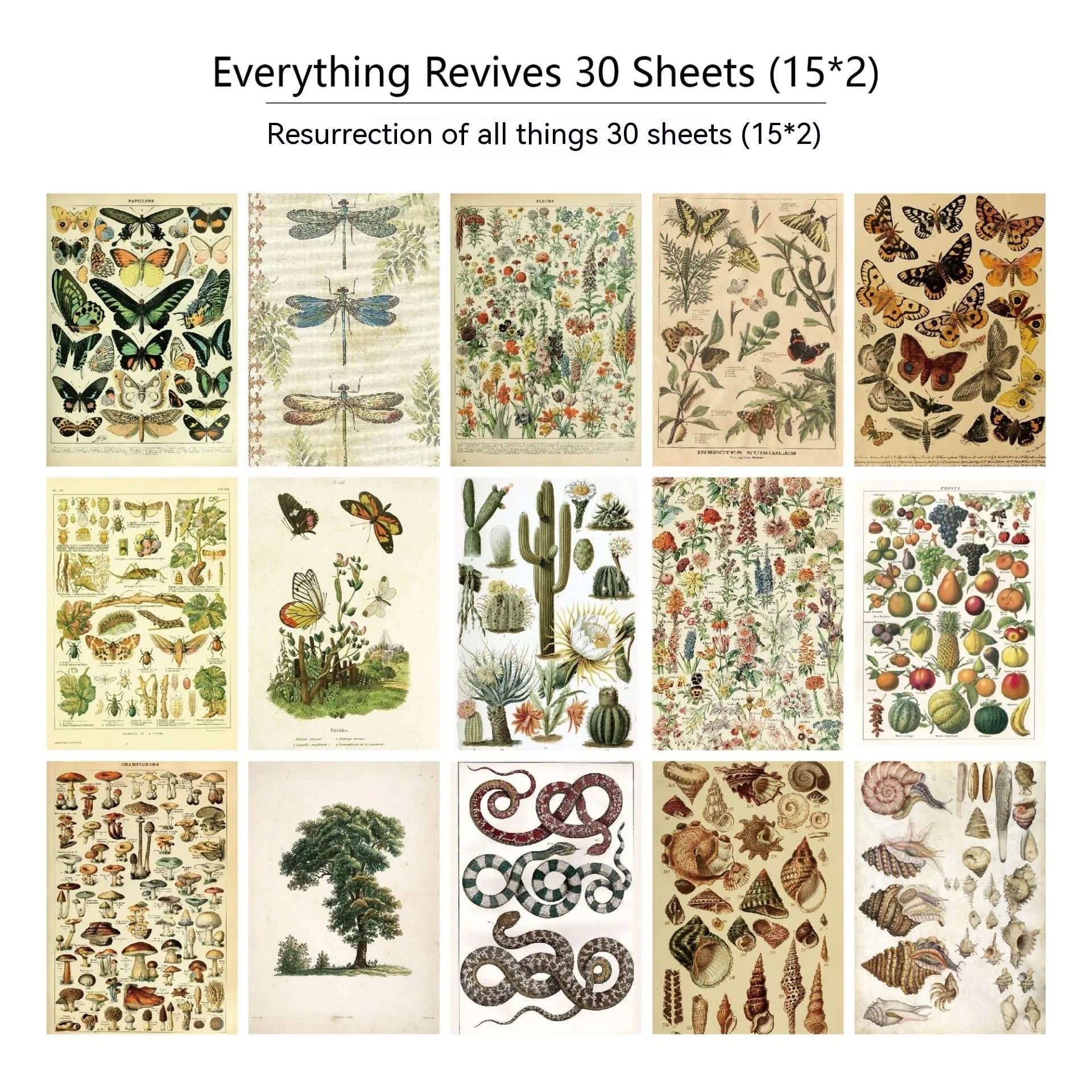 Pack of 30 retro-style scrapbook decoration papers with six different printed designs.