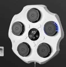 Bluetooth music boxing wall target with gloves in hanging design for home fitness training