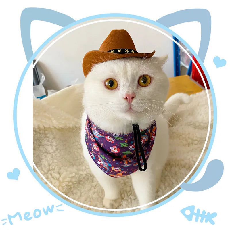 British cowboy hat for cats and small dogs in non-woven fabric with decorative ribbon or velvet belt