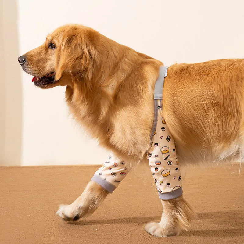 Blue adjustable dog elbow protector sleeve with padded patch and matching scarf on a large dog's front leg.