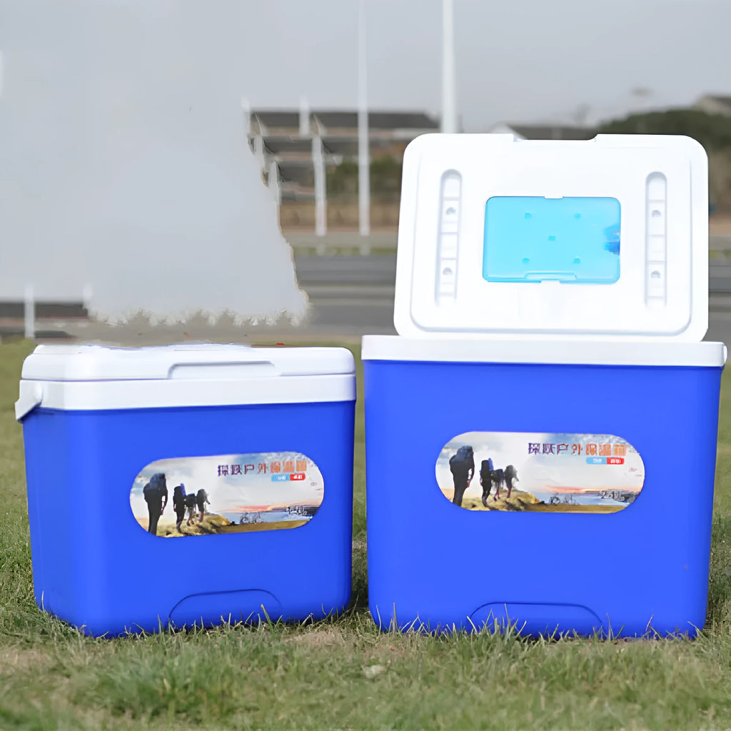 Blue aluminium foil insulated cooler box with multiple capacity options for outdoor and car use.