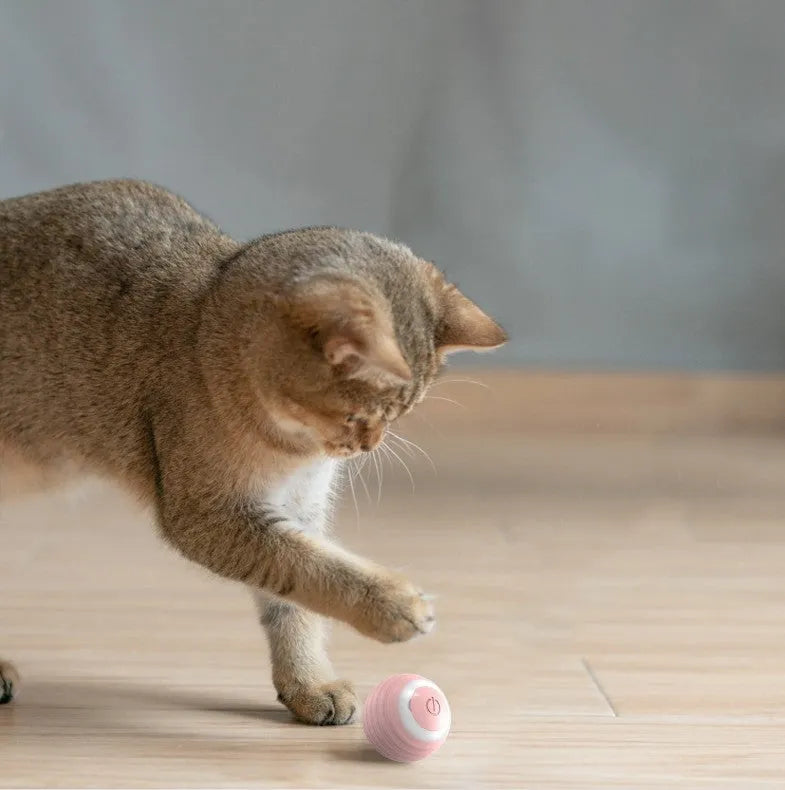 Blue automatic moving ball cat toy with charging cable on flat surface