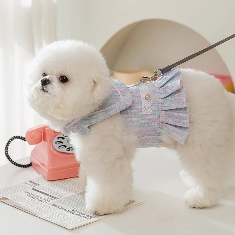 Purple and pink polyester pet clothing for small cats and dogs on a white background, showing size tags S, M, L, XL.
