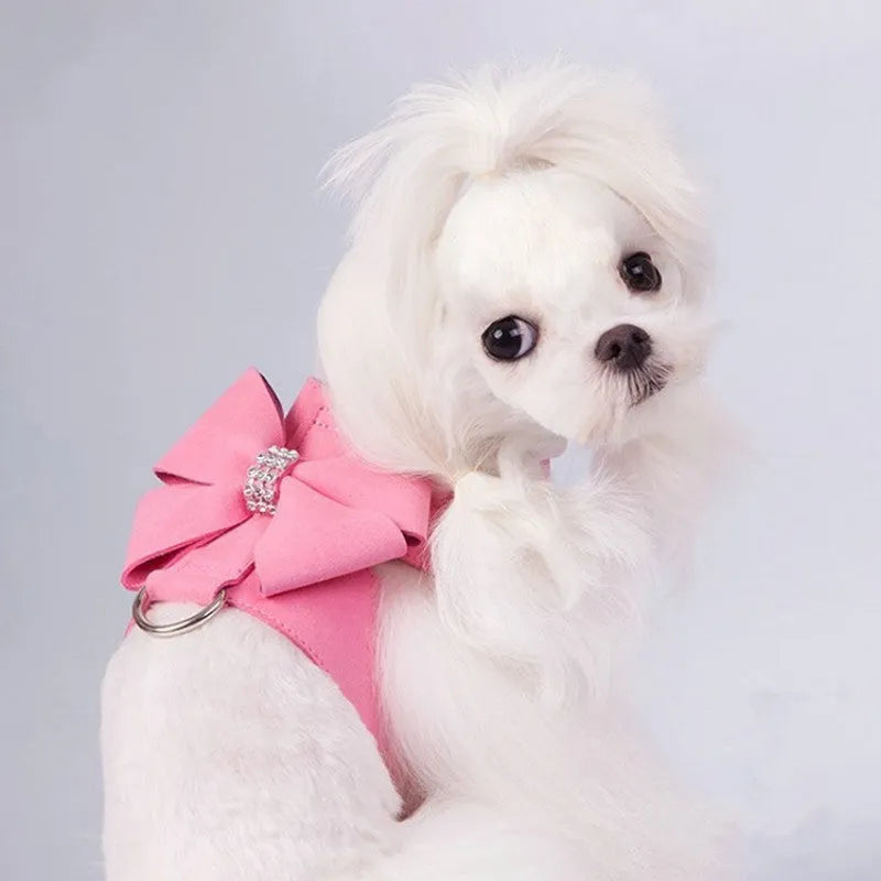 Dog harness with bowknot design in microfiber material showing pink, blue and orange colour options