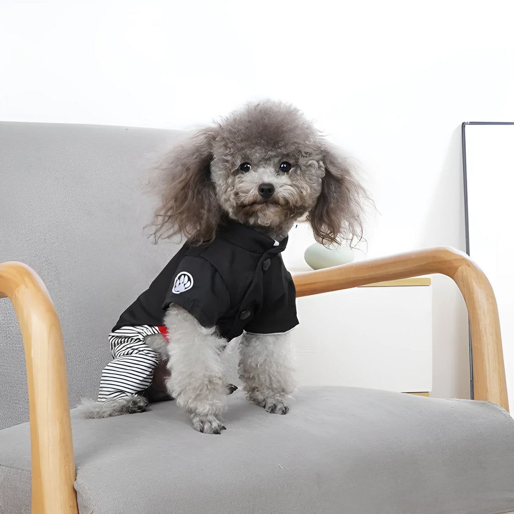 Cotton poodle dog clothes shown in skirt and four-legged pants styles for small breeds.